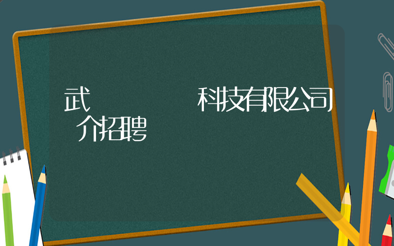 武漢樸樸網絡科技有限公司簡介招聘插圖