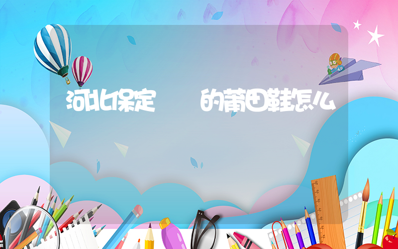 河北保定發貨的莆田鞋怎么樣插圖