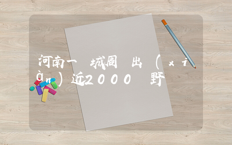 河南一縣城周邊出現(xiàn)近2000頭野豬插圖