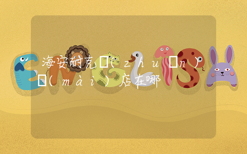 海安耐克專(zhuān)賣(mài)店在哪插圖
