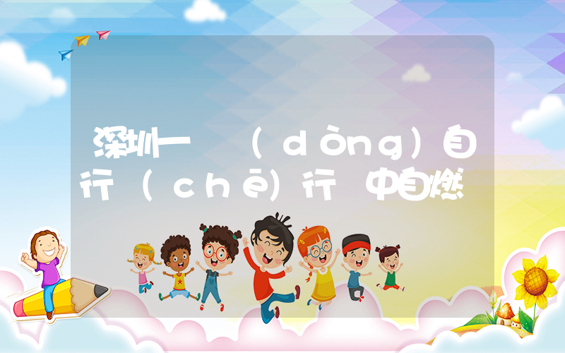 深圳一電動(dòng)自行車(chē)行駛中自燃插圖