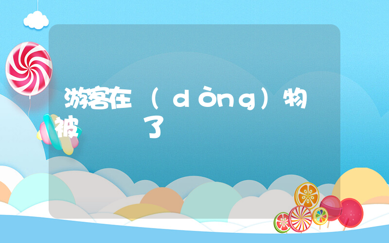 游客在動(dòng)物園被鸚鵡罵了插圖