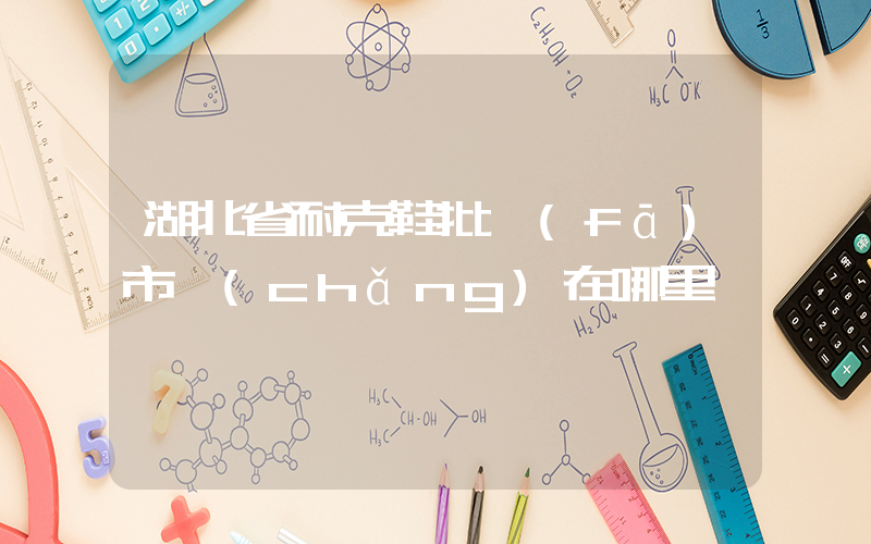 湖北省耐克鞋批發(fā)市場(chǎng)在哪里插圖