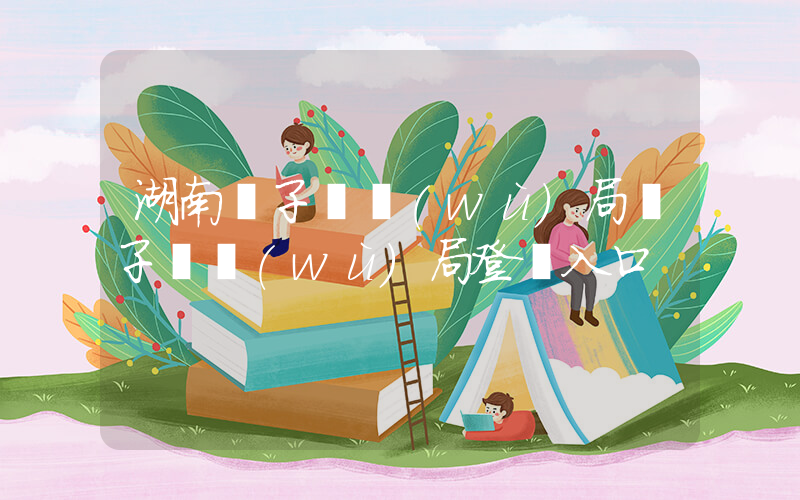 湖南電子稅務(wù)局電子稅務(wù)局登錄入口插圖