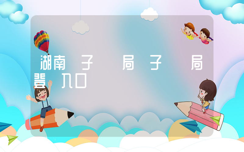 湖南電子稅務局電子稅務局登錄入口插圖