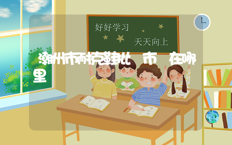 潮州市耐克鞋批發市場在哪里插圖