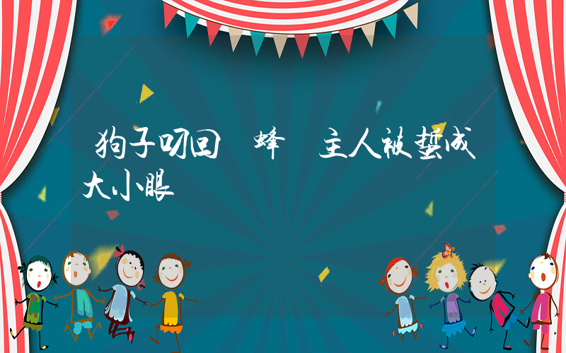 狗子叼回馬蜂窩主人被蜇成大小眼插圖