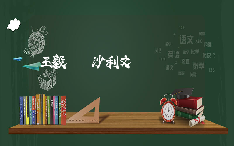 王毅會見沙利文插圖