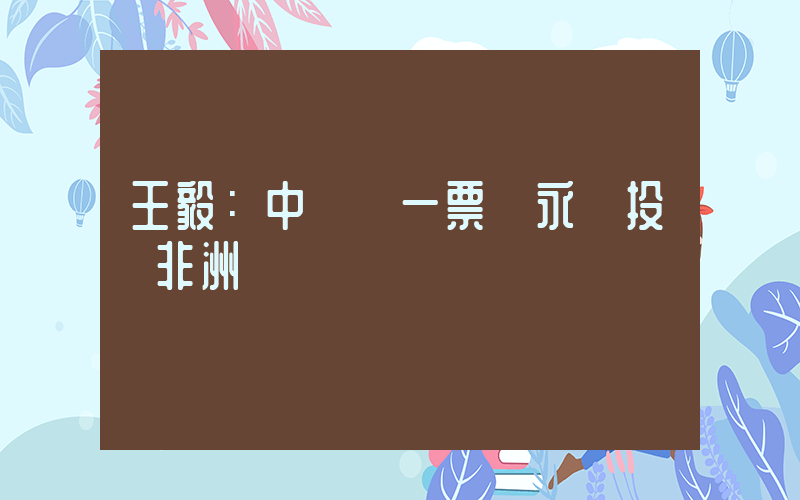 王毅：中國這一票將永遠投給非洲插圖