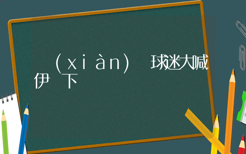 現(xiàn)場球迷大喊伊萬下課插圖