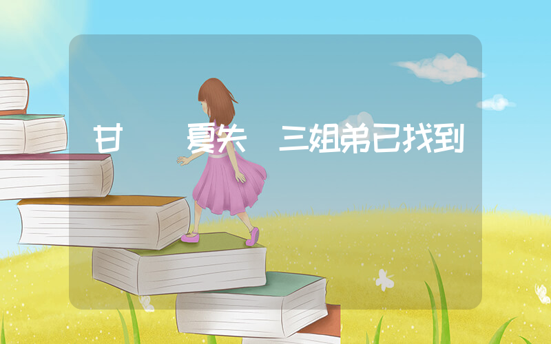 甘肅臨夏失聯三姐弟已找到插圖