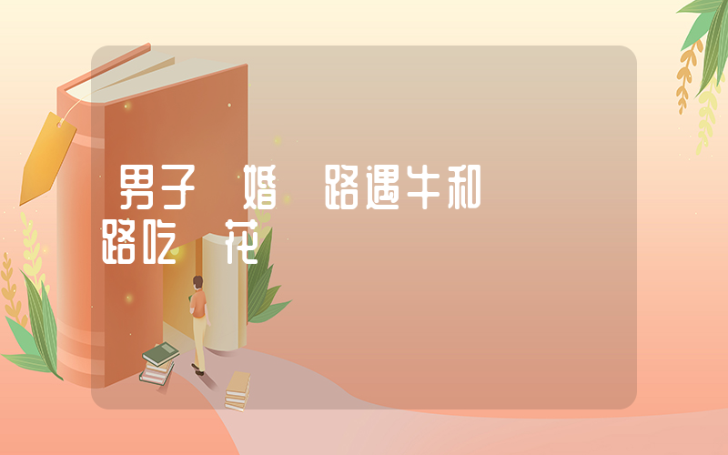 男子開婚車路遇牛和駱駝攔路吃鮮花插圖