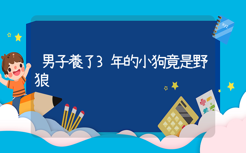 男子養了3年的小狗竟是野狼插圖