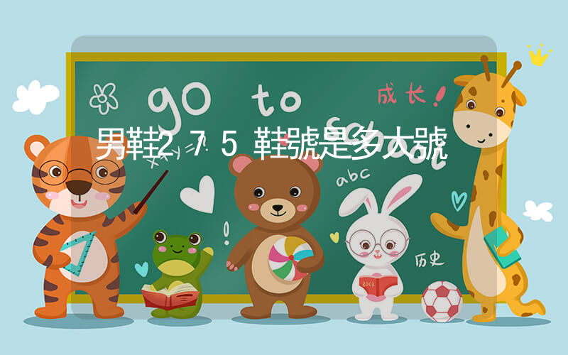 男鞋275鞋號是多大號插圖