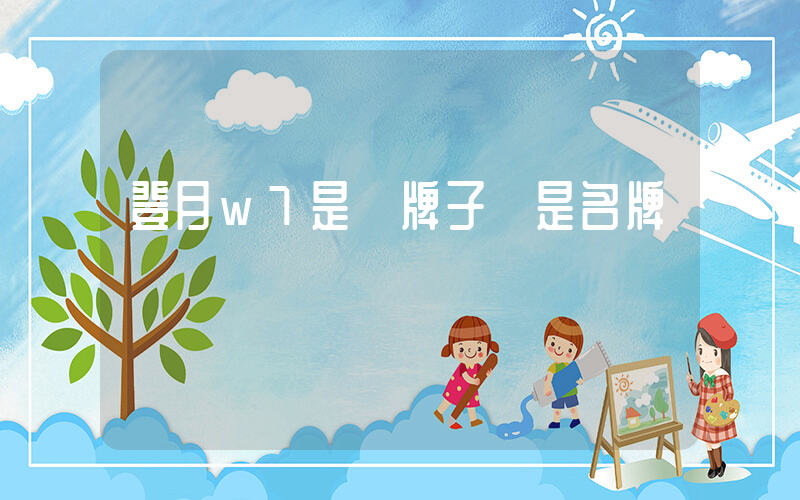 登月w7是雜牌子還是名牌插圖