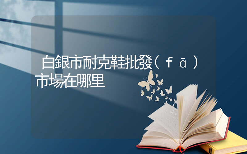 白銀市耐克鞋批發(fā)市場在哪里插圖