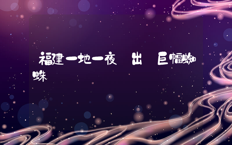 福建一地一夜間出現巨幅蜘蛛網插圖