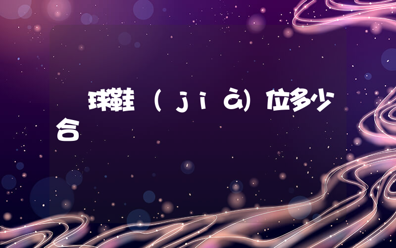 籃球鞋價(jià)位多少合適插圖