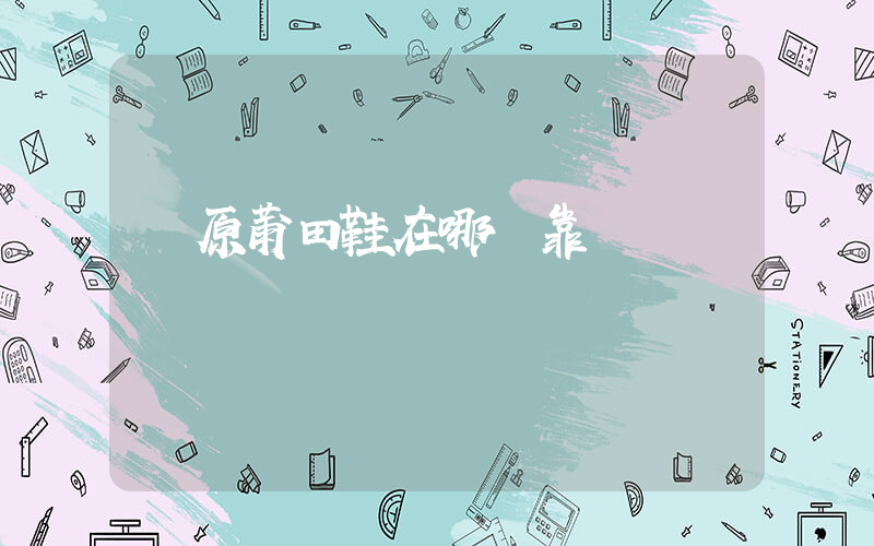 純原莆田鞋在哪買靠譜插圖