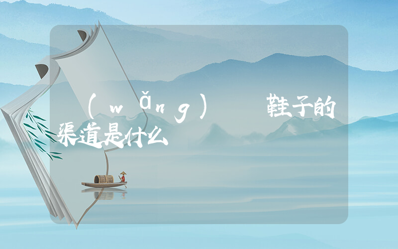 網(wǎng)紅進鞋子的渠道是什么插圖