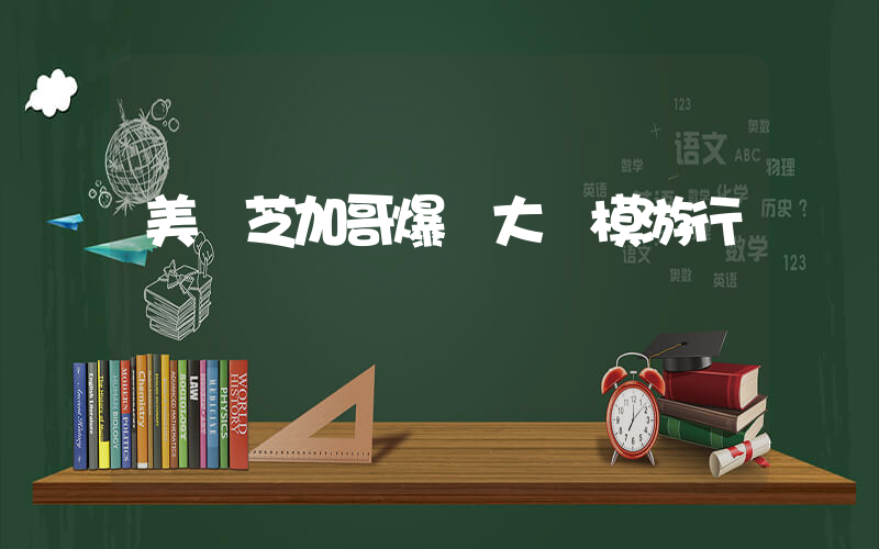 美國芝加哥爆發大規模游行插圖