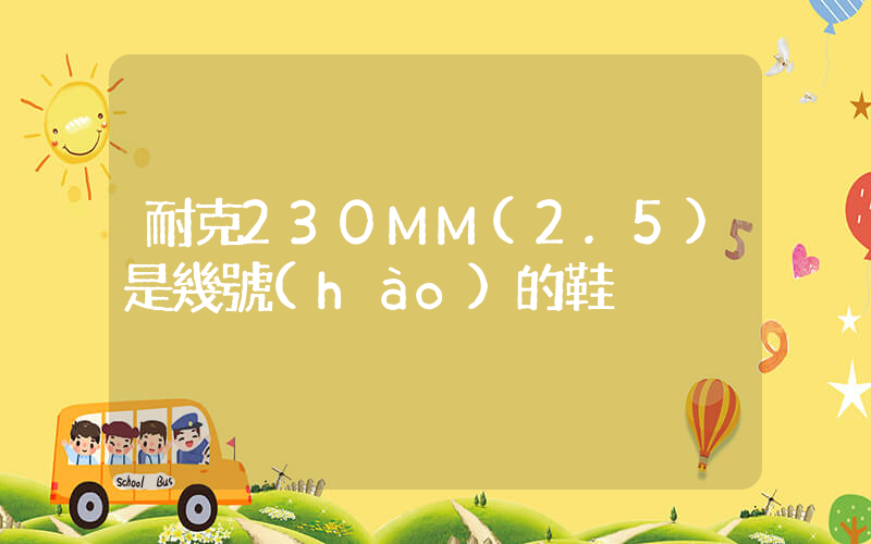 耐克230MM(2.5)是幾號(hào)的鞋插圖