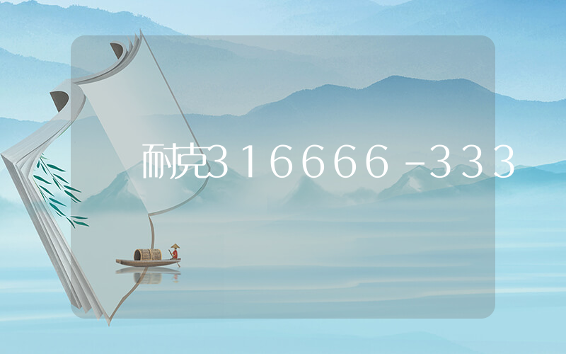 耐克316666-333插圖