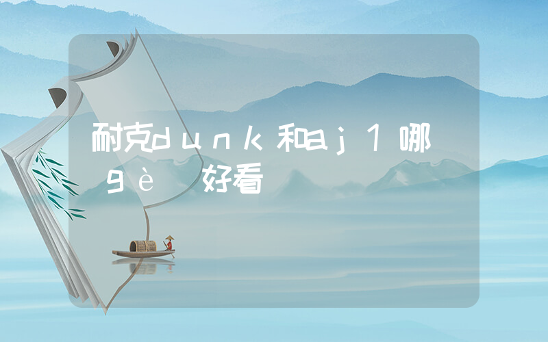 耐克dunk和aj1哪個(gè)好看插圖