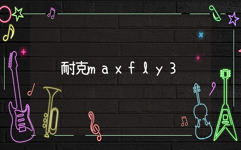 耐克maxfly3插圖
