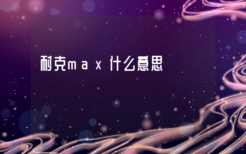 耐克max什么意思插圖