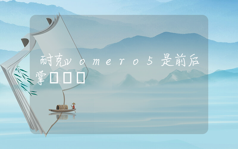 耐克vomero5是前后掌氣墊嗎插圖
