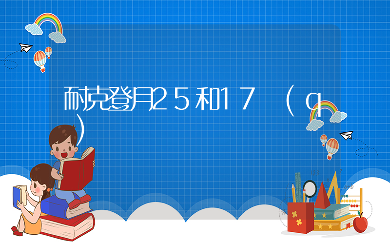 耐克登月25和17區(qū)別插圖