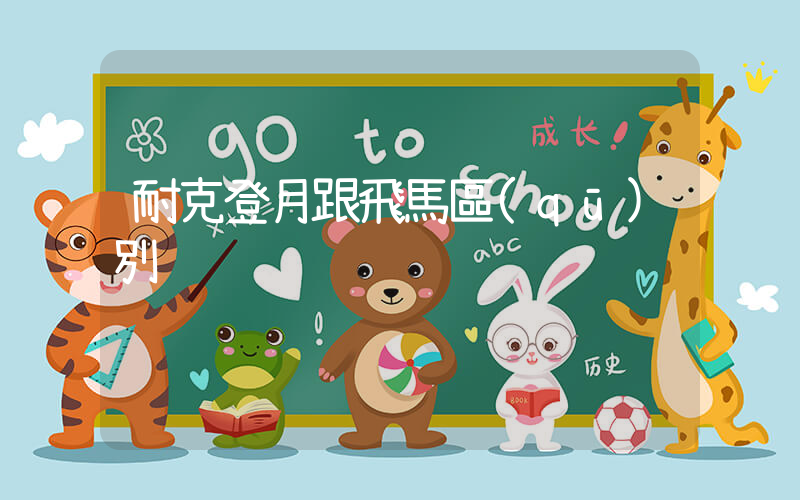 耐克登月跟飛馬區(qū)別插圖