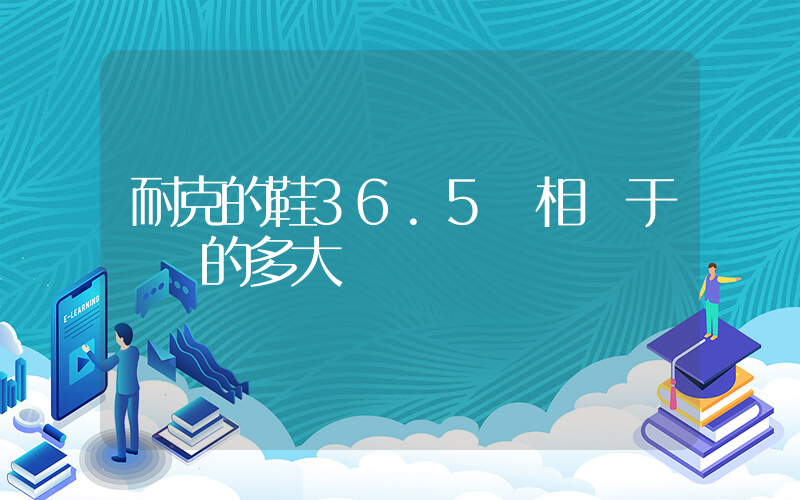 耐克的鞋36.5碼相當于國內的多大碼插圖