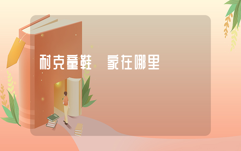 耐克童鞋廠家在哪里插圖