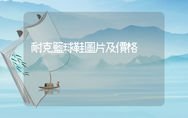 耐克籃球鞋圖片及價格插圖
