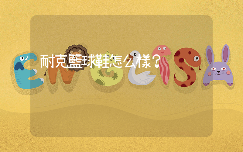 耐克籃球鞋怎么樣插圖