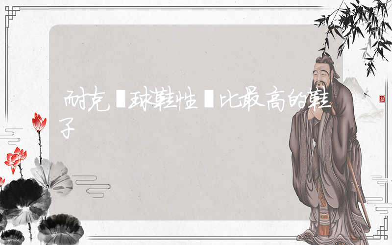 耐克籃球鞋性價比最高的鞋子插圖