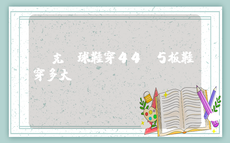 耐克籃球鞋穿44.5板鞋穿多大？插圖