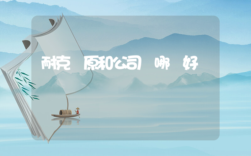 耐克純原和公司級哪個好插圖