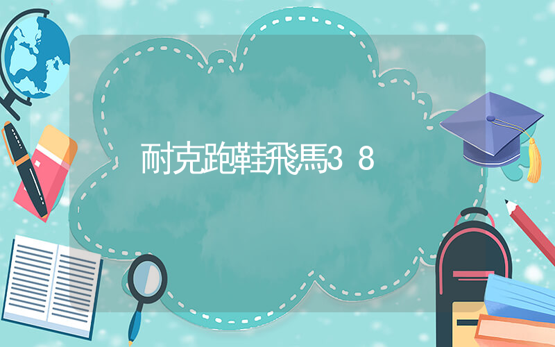耐克跑鞋飛馬38插圖