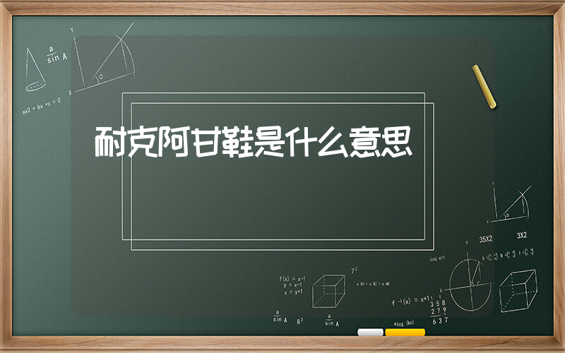 耐克阿甘鞋是什么意思插圖