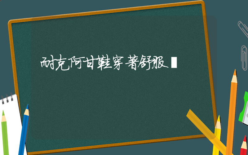 耐克阿甘鞋穿著舒服嗎插圖