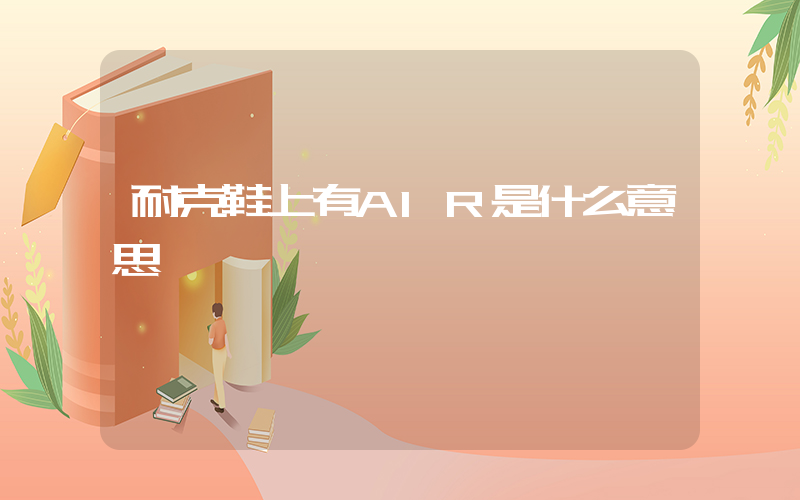 耐克鞋上有AIR是什么意思插圖