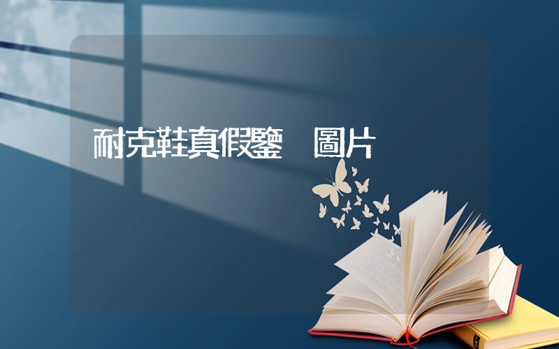 耐克鞋真假鑒別圖片插圖