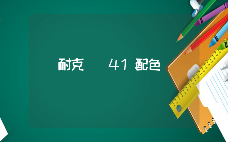 耐克飛馬41配色插圖