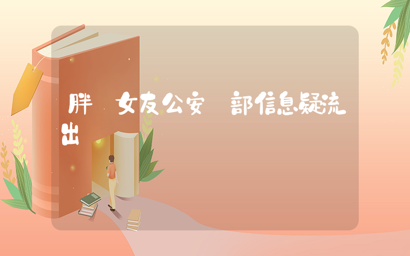 胖貓女友公安內部信息疑流出插圖