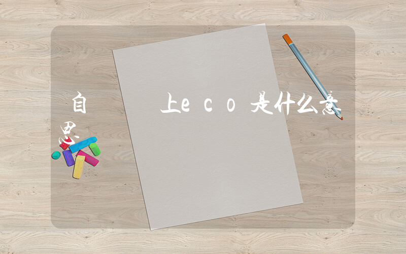 自動擋車上eco是什么意思插圖