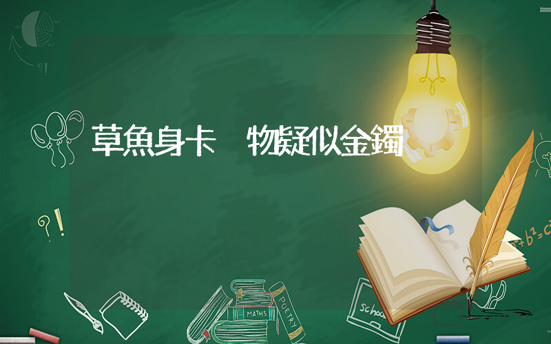 草魚身卡異物疑似金鐲插圖
