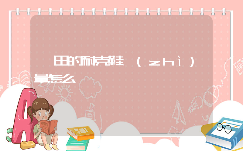 莆田的耐克鞋質(zhì)量怎么樣插圖